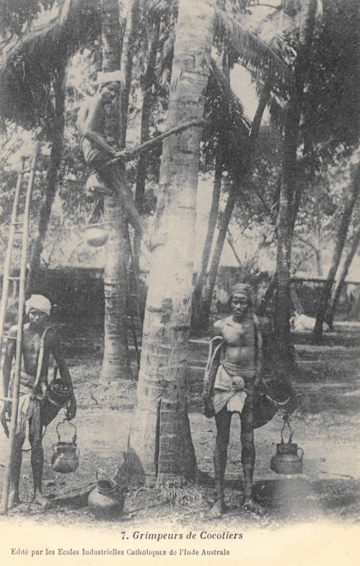 15-31 - Inde du sud - extraction de callou